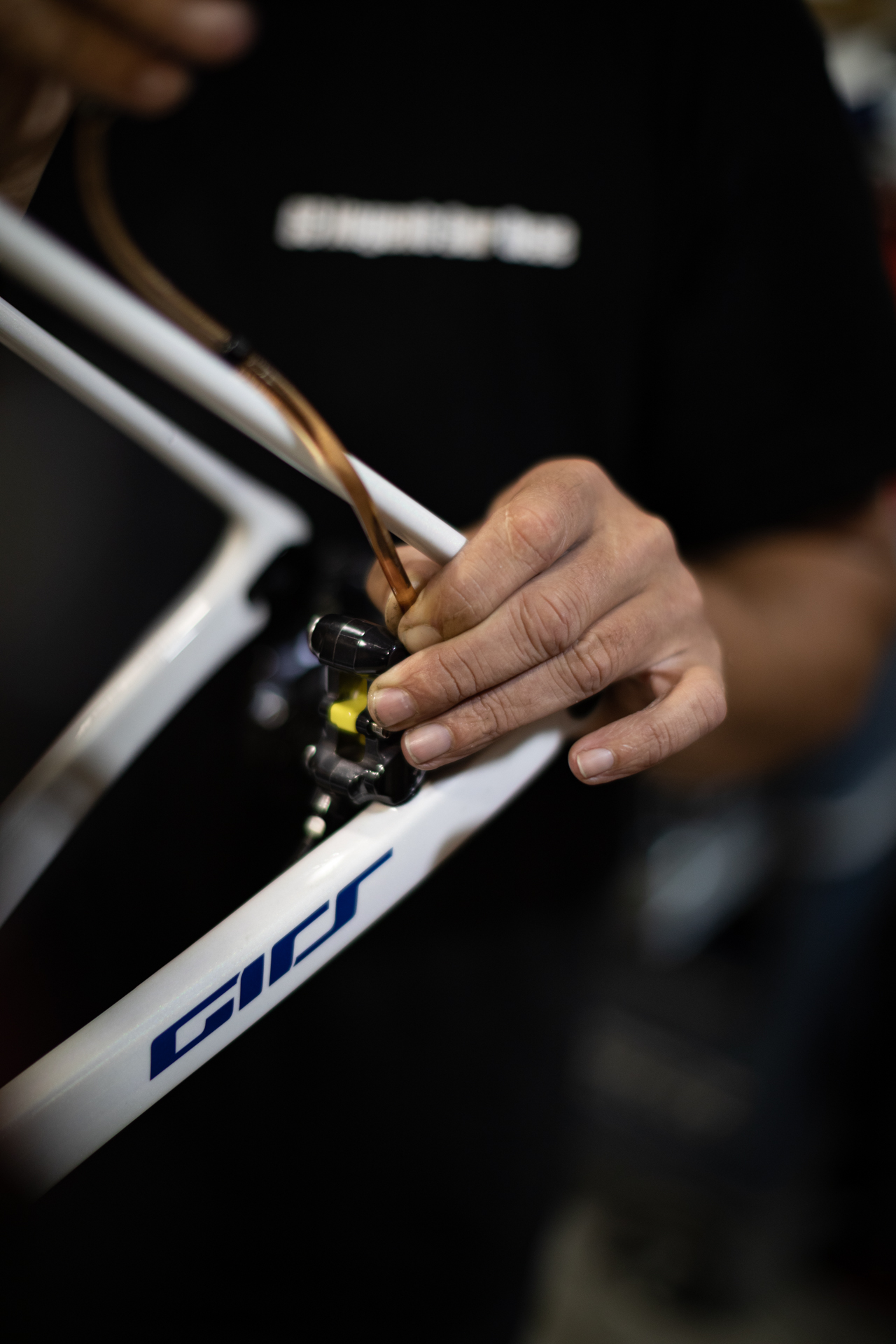 Entretien vélo Munster - réparation vélo à Munster